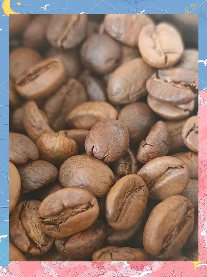 咖啡豆批发选购指南:从初学者到行家的进阶之路